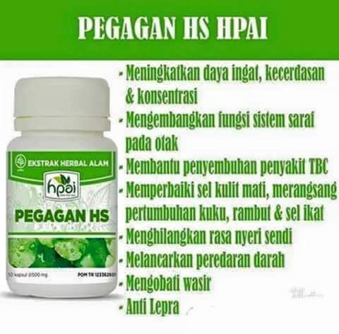 PEGAGAN HS HPAI